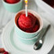 Easy & Delicious Plum Sorbet